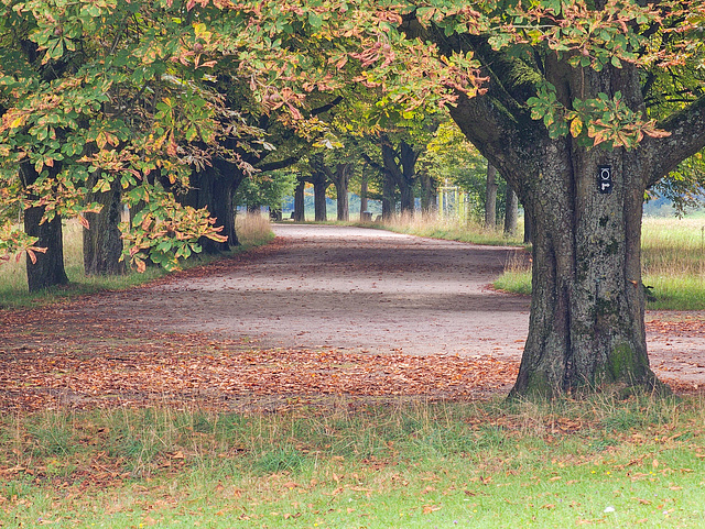 Köln - Decksteiner Weiher