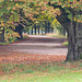 Köln - Decksteiner Weiher