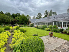 Summer morning in the courtyard