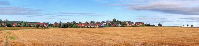 (238/365) Morgenstimmung bei Burgstädt-Herrenhaide