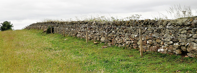 Scotland St. Cuthbert's Way (PiP) Scotland St. Cuthbert's Way (PiP)