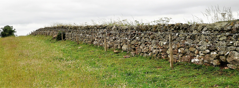Scotland St. Cuthbert's Way (PiP)