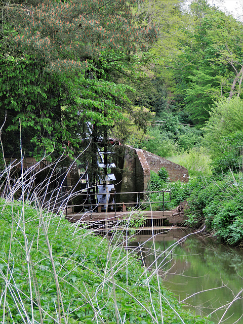 painshill park (81)