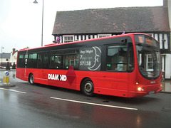 (Red) Diamond in Evesham - 3 Jun 2012 (DSCN8166)