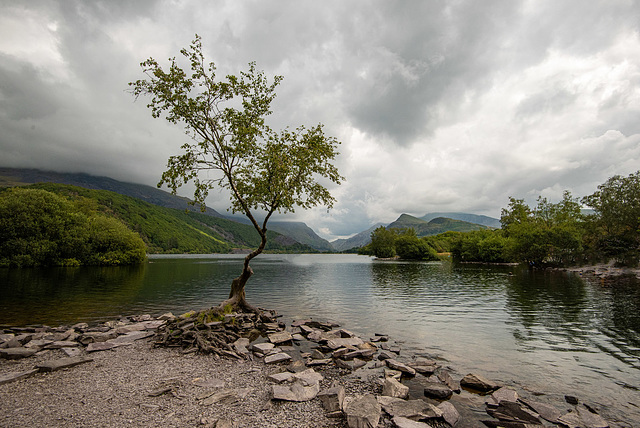 Lake Padarn