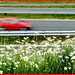 Fast Red  Slow White