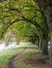 Köln - Decksteiner Weiher