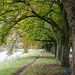 Köln - Decksteiner Weiher