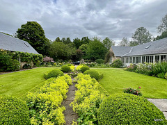 Summer morning in the courtyard