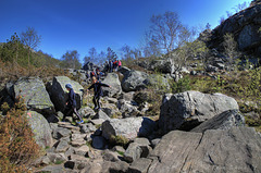 Almost on the top of this part of the trail.