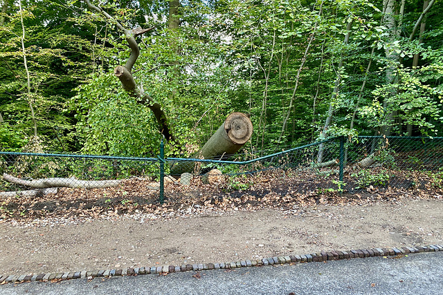 Fence crushed