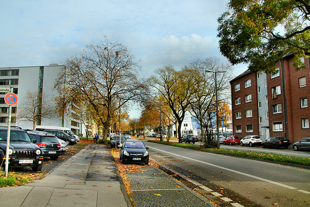 B227 Wildenbruchstraße (Gelsenkirchen-Bulmke-Hüllen) / 14.11.2020