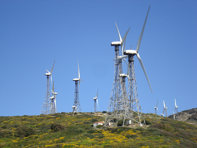 Windräder bei Tarifa