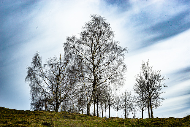 20240327_benneckenstein_wanderung (d800)