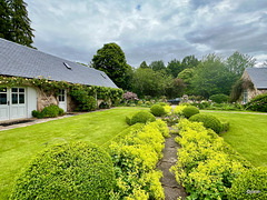 Summer morning in the courtyard