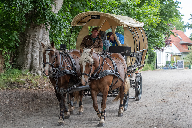 Autofreie Insel Hiddensee - nur die Polizei darf ...