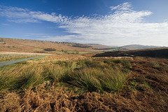 Sheepwash Bank near Dennis Knoll