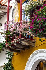 balcones y bouganvillias copia