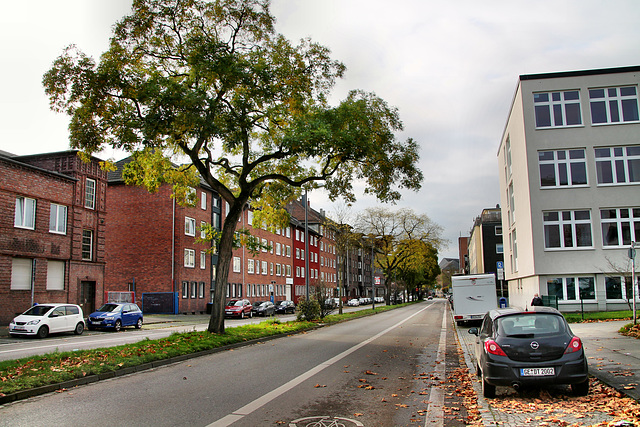 B227 Wildenbruchstraße (Gelsenkirchen-Bulmke-Hüllen) / 14.11.2020