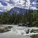 am Kicking Horse River (© Buelipix)