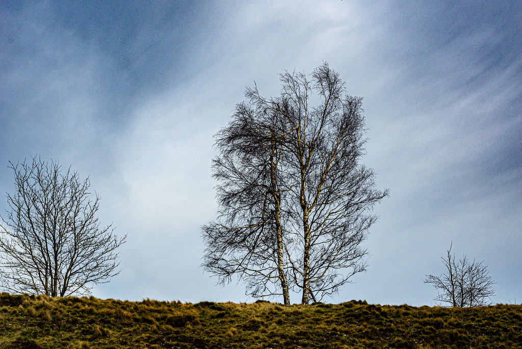 20240327_benneckenstein_wanderung (d800)