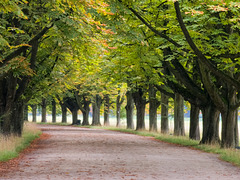 Köln - Decksteiner Weiher