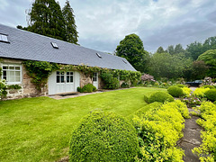 Summer morning in the courtyard