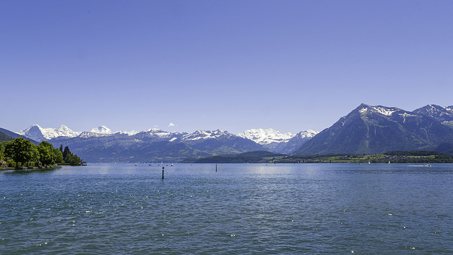 Blick von Schadaupark Thun über den Thunersee zu den Berner Alpen ... P.i.P. (© Buelipix)