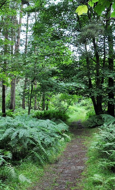 Scotland St. Cuthbert's Way Scotland St. Cuthbert's Way