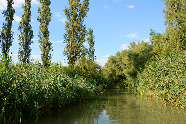 Украина, Вилково, река Белогородская / Ukraine, Vilkovo, Belogorodskaya river