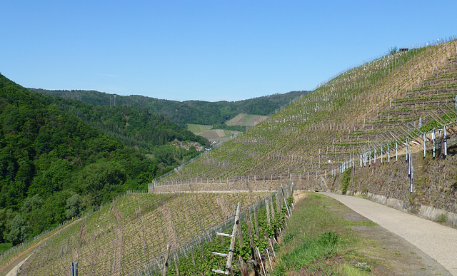 Auf dem Weg nach Marienthal