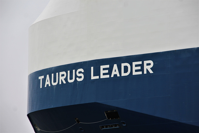 TAURUS LEADER