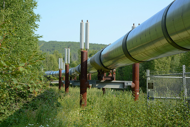 Alaska, Alyeska Pipeline in the Neighborhood of Fairbanks