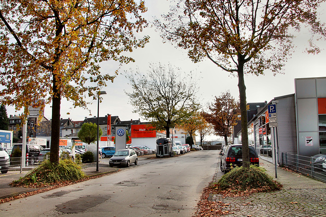 Scheffelstraße (Gelsenkirchen-Bulmke-Hüllen) / 14.11.2020