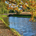 Down on the canal at Diggle