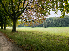 Köln - Decksteiner Weiher