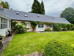 Summer morning in the courtyard
