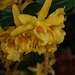 P1108697