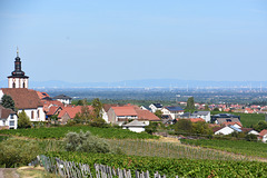 Weinbaugemeinde Weyer mit Blick über die Rheinebene zum Odenwald