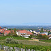 Weinbaugemeinde Weyer mit Blick über die Rheinebene zum Odenwald
