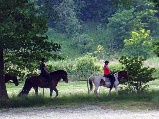 Riding a Pony