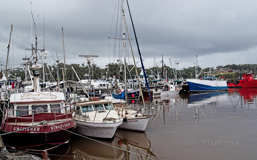 Crowded harbour