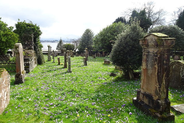 Spring Flowers In Rhu Churchyard