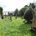 Spring Flowers In Rhu Churchyard