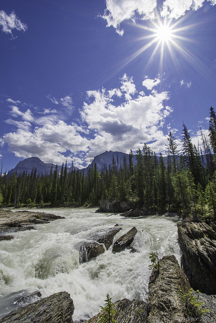 bei der 'Natural Bridge' am Kicking Horse River (© Buelipix)