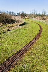 A muddy trail