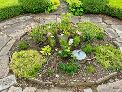 Summer morning in the courtyard