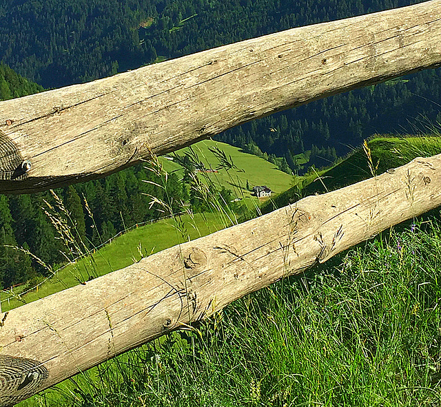 fence with a view