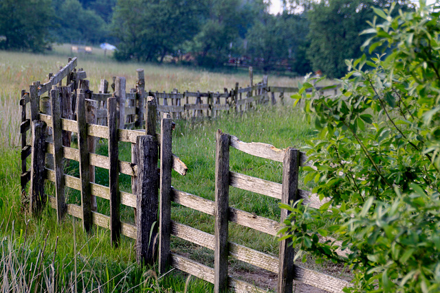 A late Fence for Friday