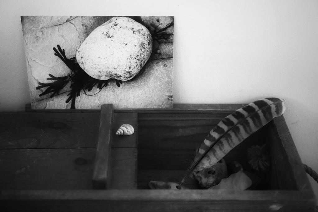 still life with photo 1